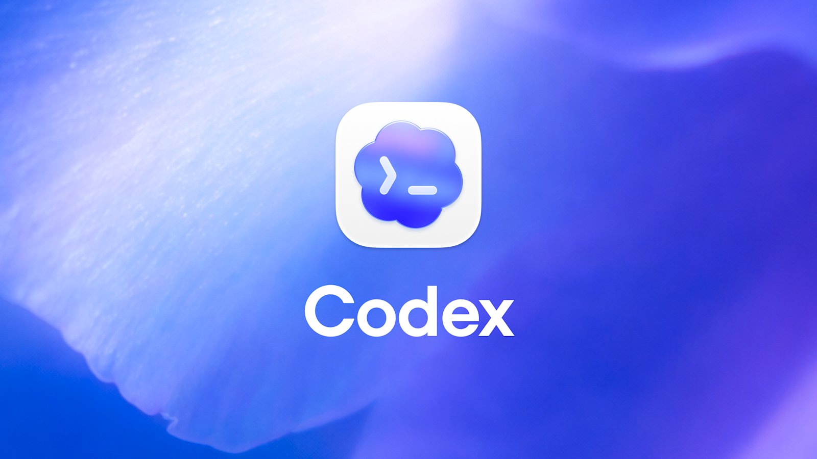 Codex app icon graphic for the Tech My Money Codex review