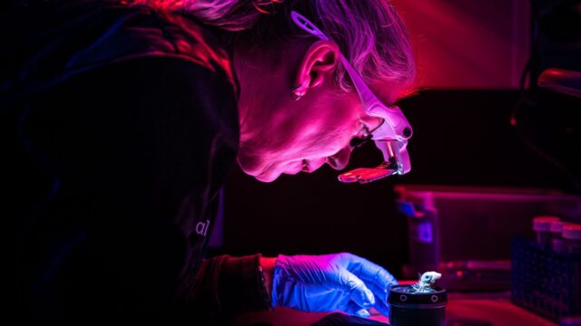 Colossal artificial egg with chicken embryos in a 3D-printed shell