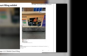 Dua Lipa Sues Samsung Over TV Packaging Image