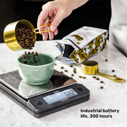 ThermoWorks Gravitas feature image showing battery life