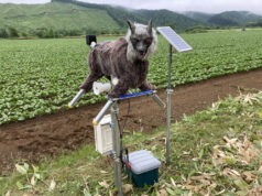 Japan’s Robot Wolves Are Selling Fast as Bear Encounters Rise Monster Wolf robot deterrent installed in a rural field