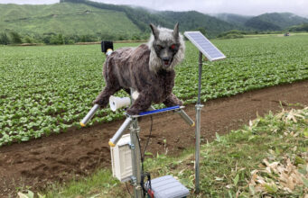 Japan’s Robot Wolves Are Selling Fast as Bear Encounters Rise Monster Wolf robot deterrent installed in a rural field