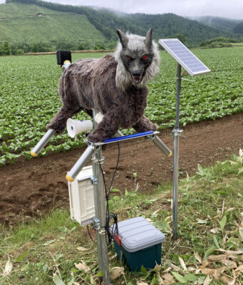 Japan’s Robot Wolves Are Selling Fast as Bear Encounters Rise Monster Wolf robot deterrent installed in a rural field