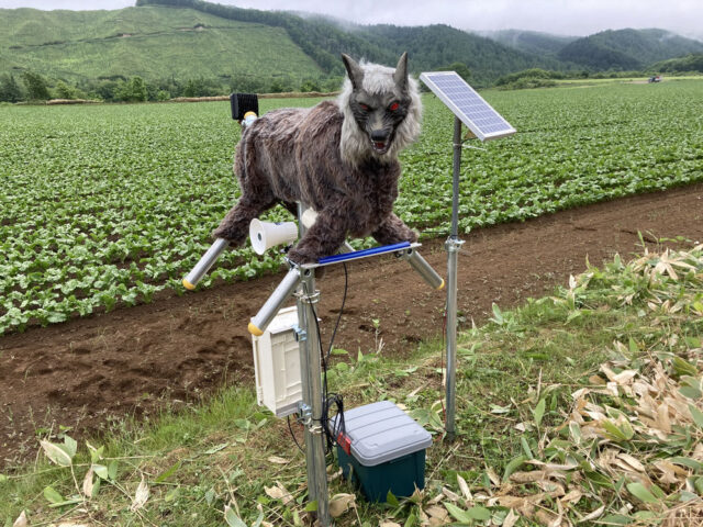 Monster Wolf robot installed in a field Monster Wolf robot deterrent installed in a rural field