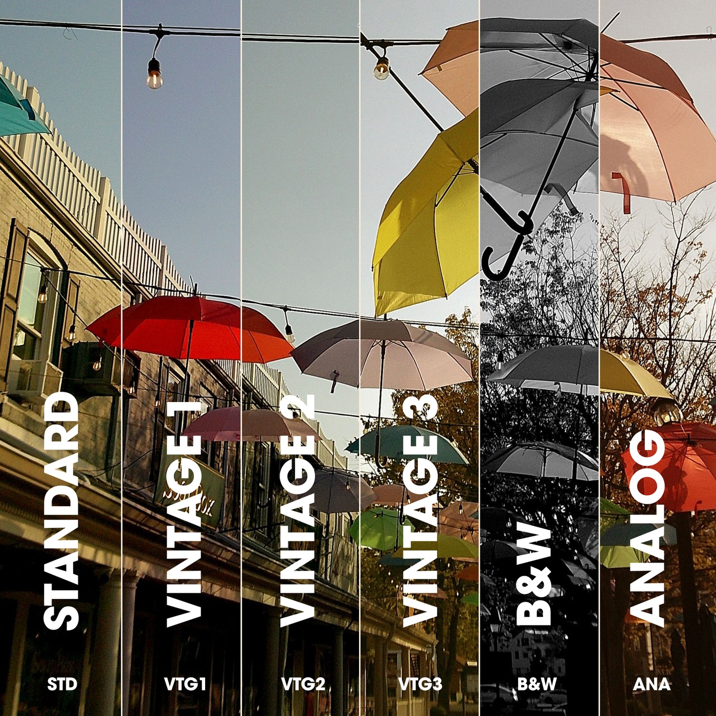 Camp Snap 2 official filter examples showing Standard, Vintage, black-and-white and analog looks.