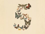 Anthropic Pulls Fable 5 and Mythos 5 After US Government Order Claude Fable 5 launch artwork showing vintage butterflies arranged into the numeral five