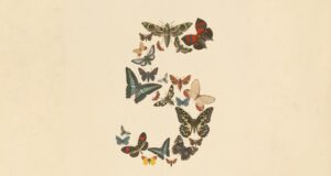 Anthropic Pulls Fable 5 and Mythos 5 After US Government Order Claude Fable 5 launch artwork showing vintage butterflies arranged into the numeral five