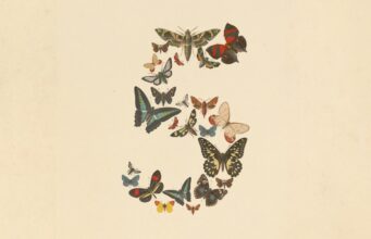 Anthropic Pulls Fable 5 and Mythos 5 After US Government Order Claude Fable 5 launch artwork showing vintage butterflies arranged into the numeral five