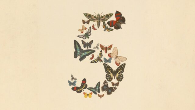 claude-fable-5-launch-butterflies.jpg Claude Fable 5 launch artwork showing vintage butterflies arranged into the numeral five