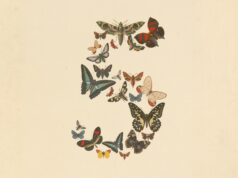 Anthropic Opens Claude Fable 5 to Regular Users Claude Fable 5 and Claude Mythos 5 butterfly artwork from Anthropic