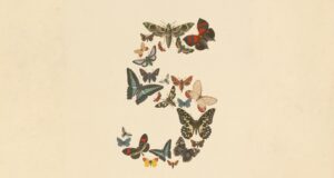Anthropic Opens Claude Fable 5 to Regular Users Claude Fable 5 and Claude Mythos 5 butterfly artwork from Anthropic