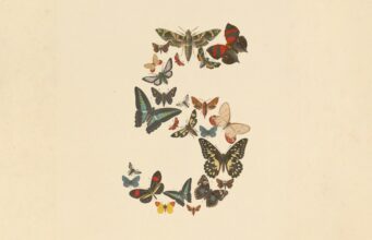 Anthropic Opens Claude Fable 5 to Regular Users Claude Fable 5 and Claude Mythos 5 butterfly artwork from Anthropic