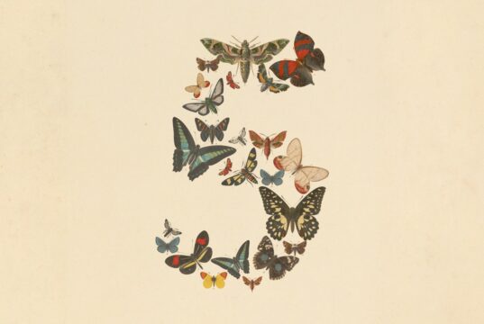 Claude Fable 5 and Claude Mythos 5 butterfly artwork from Anthropic