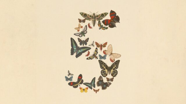 Claude Fable 5 and Claude Mythos 5 Anthropic artwork Claude Fable 5 and Claude Mythos 5 butterfly artwork from Anthropic