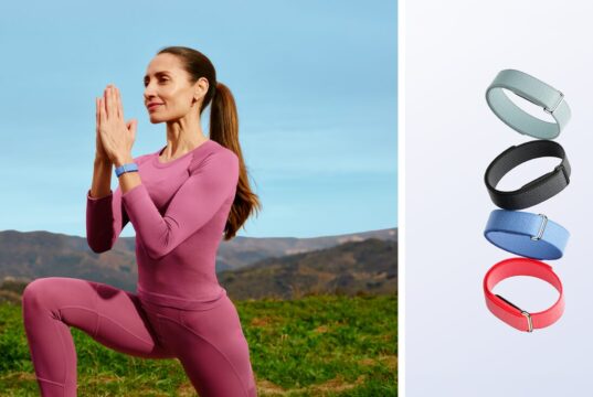Google Fitbit Air tracker and colorful official accessory bands