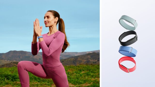 Google Fitbit Air tracker and colorful official accessory bands