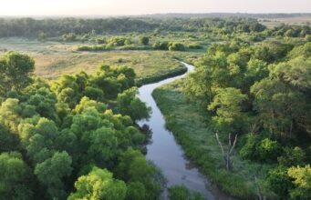 Google water stewardship river and wetland image for its 2030 data center water pledge