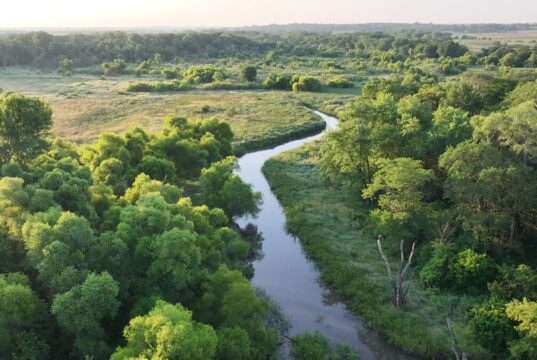 Google water stewardship river and wetland image for its 2030 data center water pledge