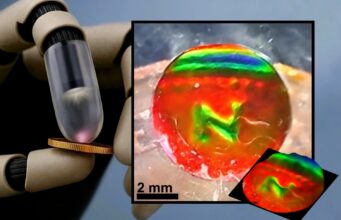 Color-Changing Tactile Sensor Lets Robots See Touch in Real Time Robot finger pressing a coin next to the mechanochromic tactile sensor showing the coin's imprint as color patterns