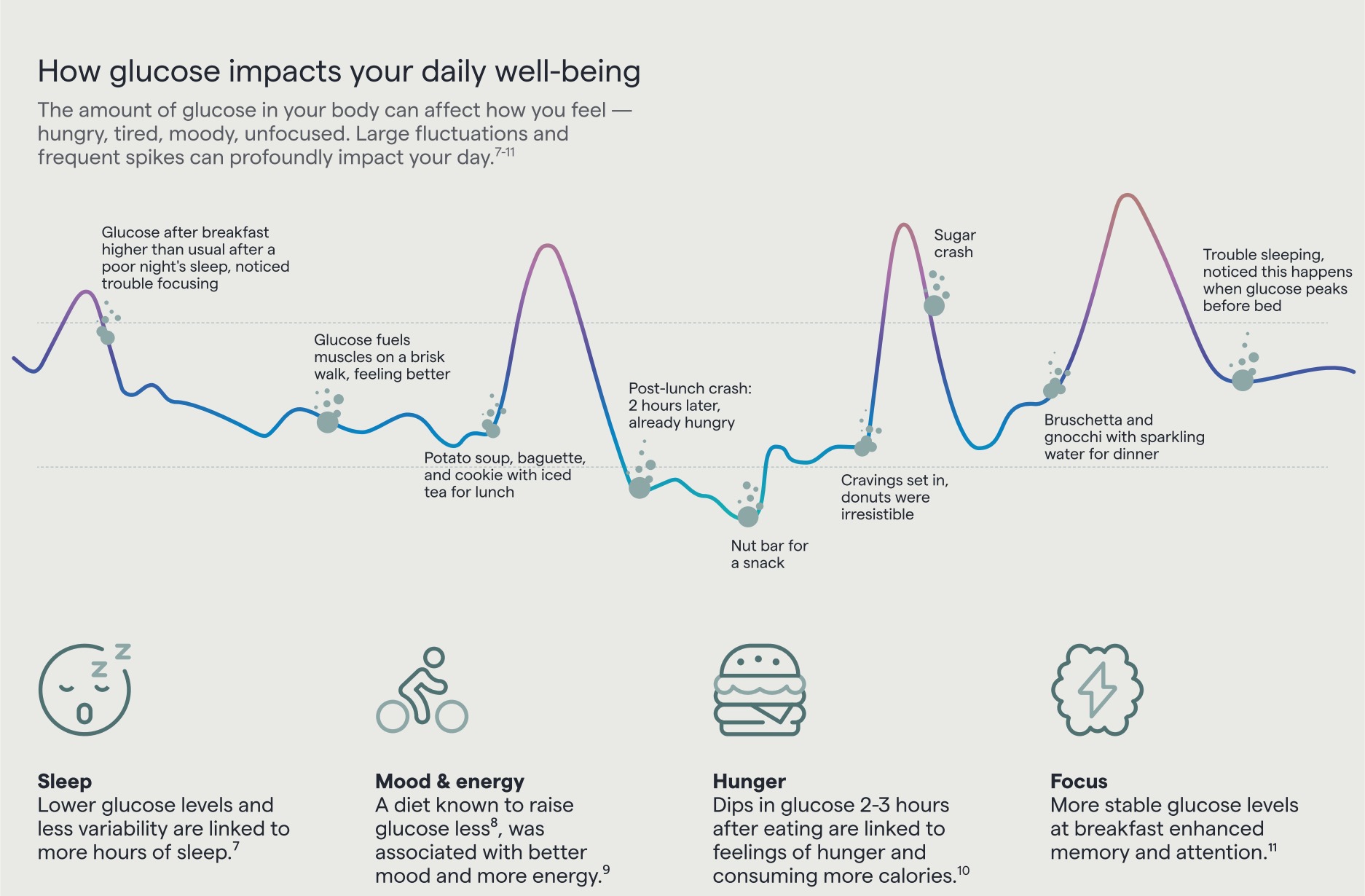 Abbott infographic chart illustrating how meals, exercise, cravings and sleep can align with glucose changes across a day