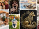 Meta Muse Image Turns Instagram Accounts Into AI Prompts Grid of images generated by Meta's Muse Image AI model, showing stylized portraits, product shots, and scenes
