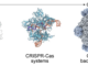 Arc Institute figure illustrating the PhiX174 bacteriophage genome design context for AI-generated bacteriophages.