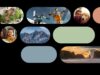 Ford Fathom electric truck official teaser still from Ford midsize EV pickup reveal