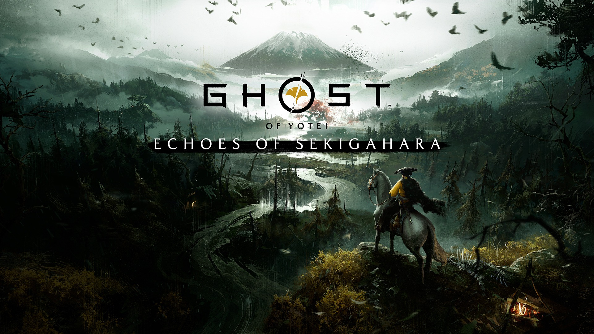 Official Ghost of Yotei Echoes of Sekigahara key art of a rider overlooking a misty valley
