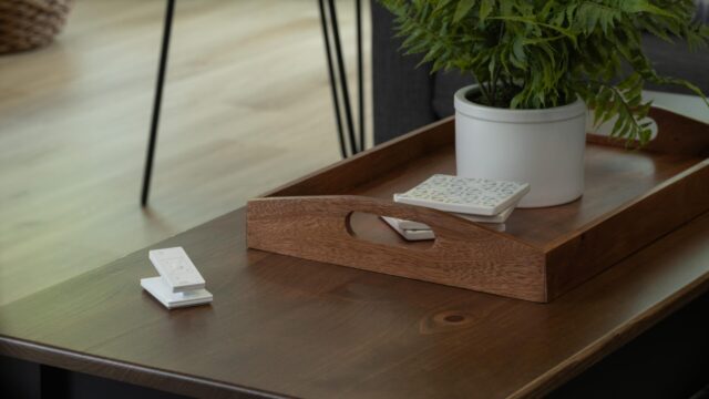 Sonos Voice Control for Lutron compatible Caseta smart home lighting setup