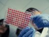Anthropic Wet Lab Confirmed: Claude Maker Now Runs Physical Biology Experiments Two scientists in safety glasses and blue gloves hold up a 96-well plate filled with red liquid in a lab