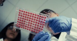 Two scientists in safety glasses and blue gloves hold up a 96-well plate filled with red liquid in a lab