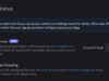 Discord Account Status screen showing an unconfirmed Age Group row with a Confirm Age button