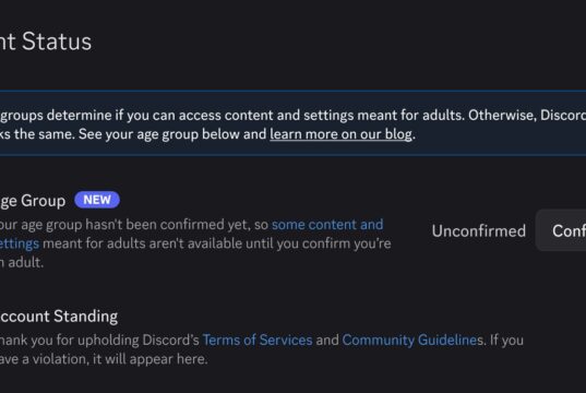 Discord Account Status screen showing an unconfirmed Age Group row with a Confirm Age button