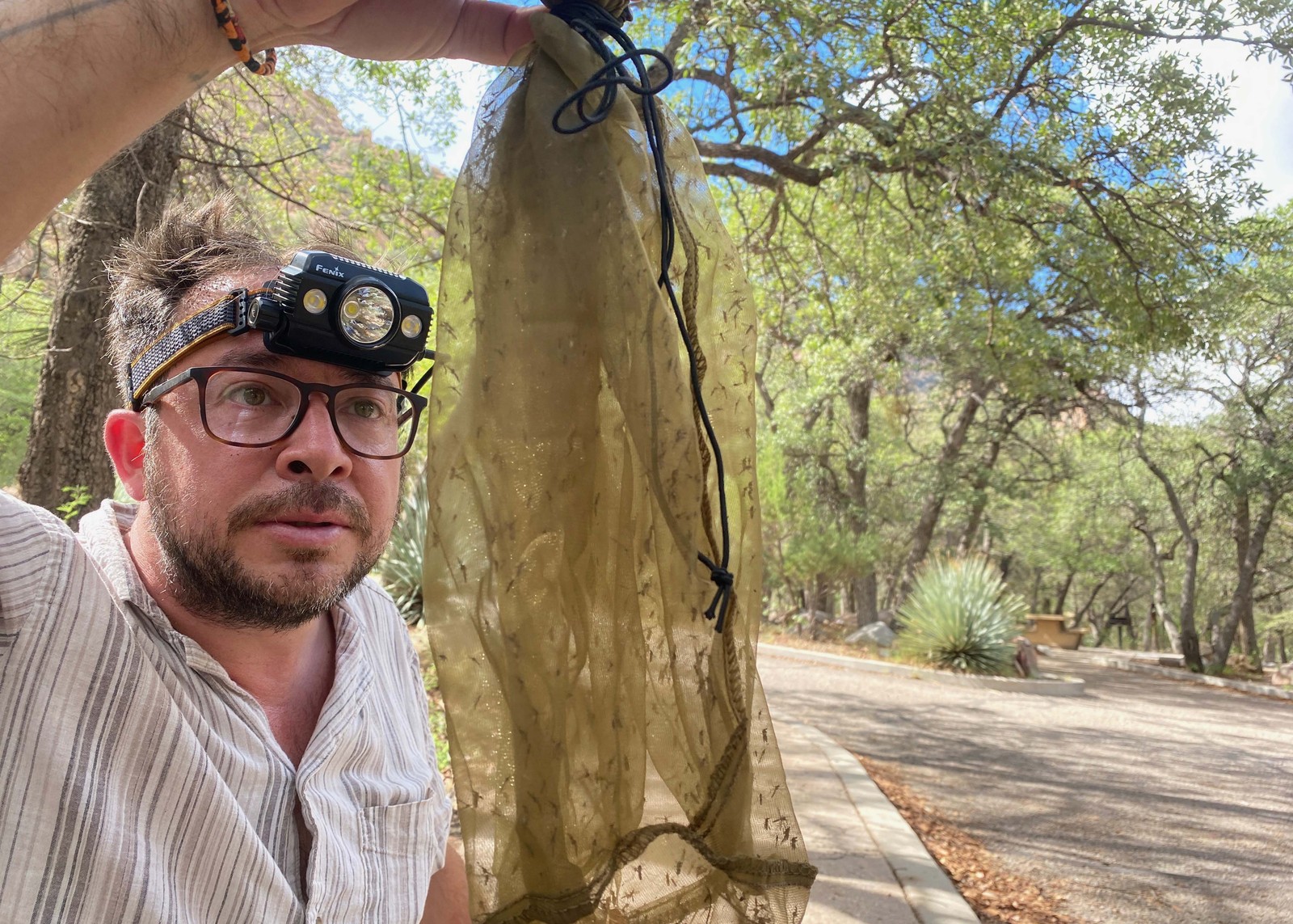 Entomologist Lawrence Reeves wearing a headlamp holds up a mesh bag of collected mosquitoes in a wooded canyon in Arizona