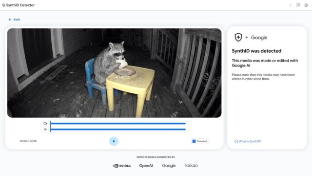 Google SynthID Detector interface flagging a night-vision video of a raccoon eating a sandwich as made or edited with Google AI