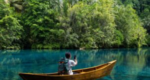 SpaceX Agrees to Buy 800 MHz Spectrum That Could Make Starlink Mobile a Major Carrier A person seated in a wooden canoe on a clear river, filming a dense jungle shoreline with a smartphone