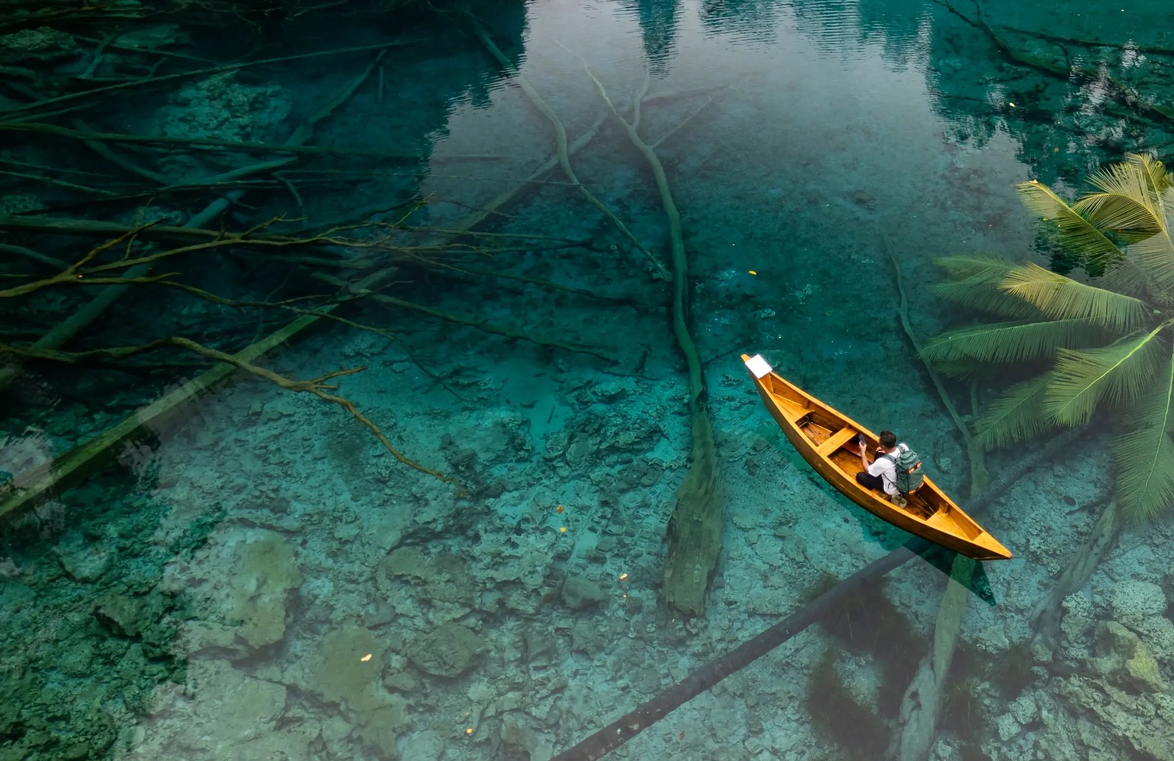 Overhead view of a person in a wooden canoe on clear shallow water, with a white Starlink Mini dish at the bow and a palm frond at right