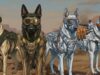 Warhound Raises $200 Million for Military Working Dogs Illustrated dogs in goggles and tactical vests stand in a desert, including a tan vest labeled K9 UNIT